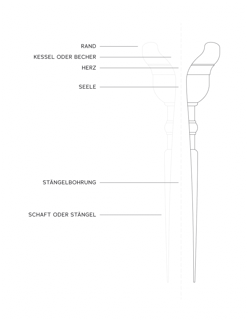 Coupe transversale de l'embouchure de la trompette